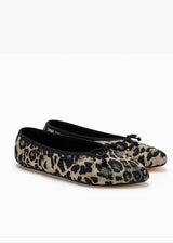 PEONY 37  |  Leopard